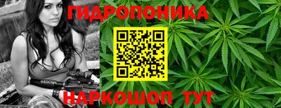 не бодяженный Камышлов